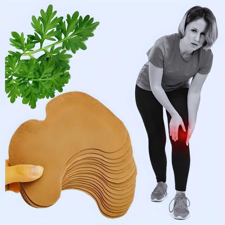 Herbal Knee Plaster Sticker Wormwood Extract Joint Ache Pain Relieving